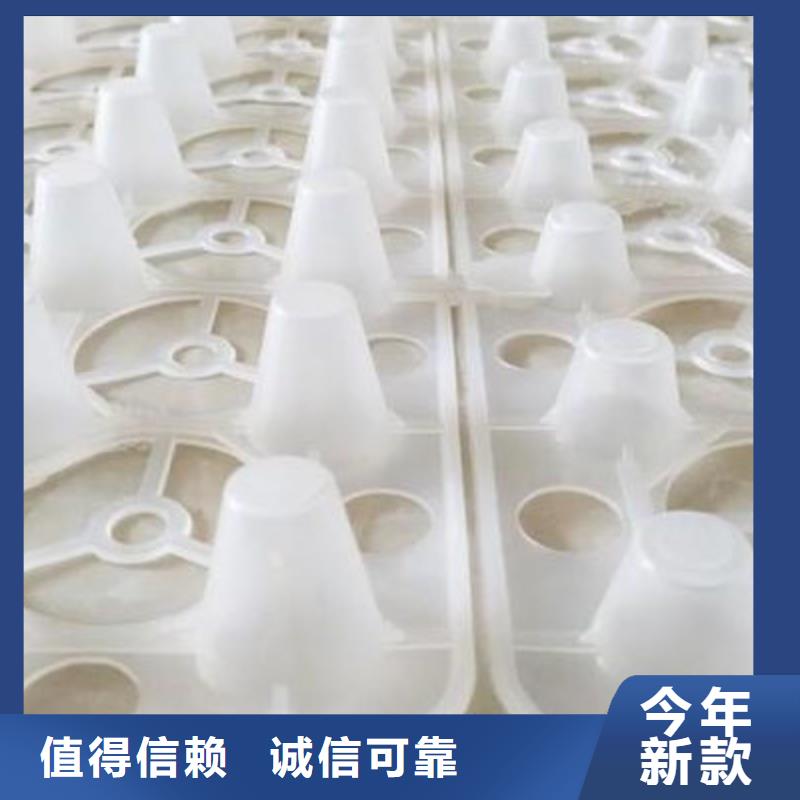 塑料排水板实业集团-欢迎咨询