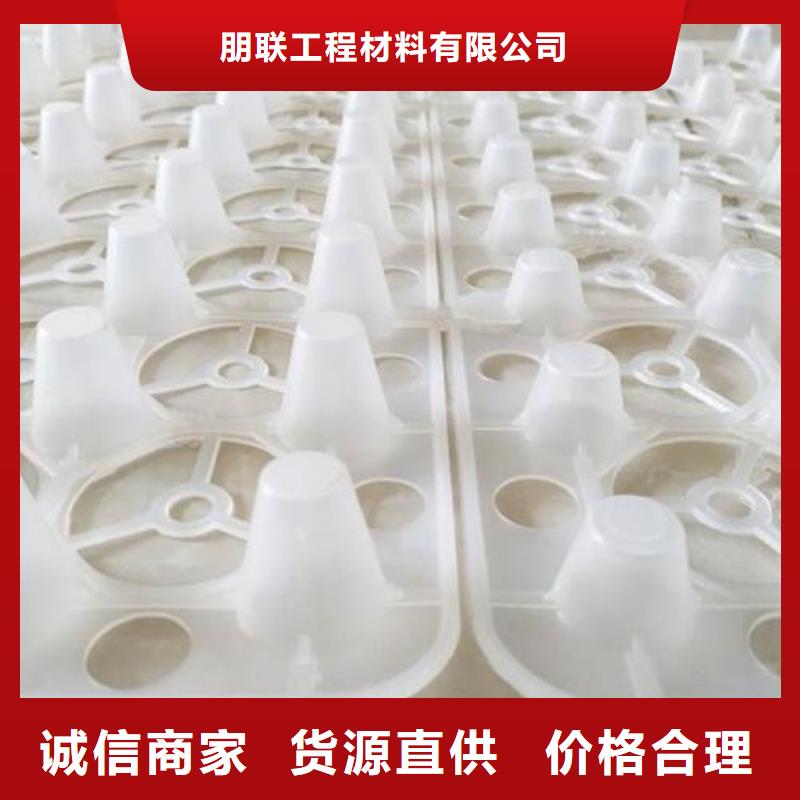 凹凸型排水板生产厂家朋联