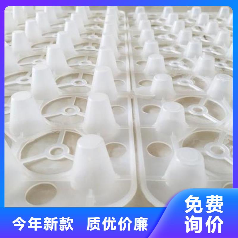 塑料排水板价格及厂家