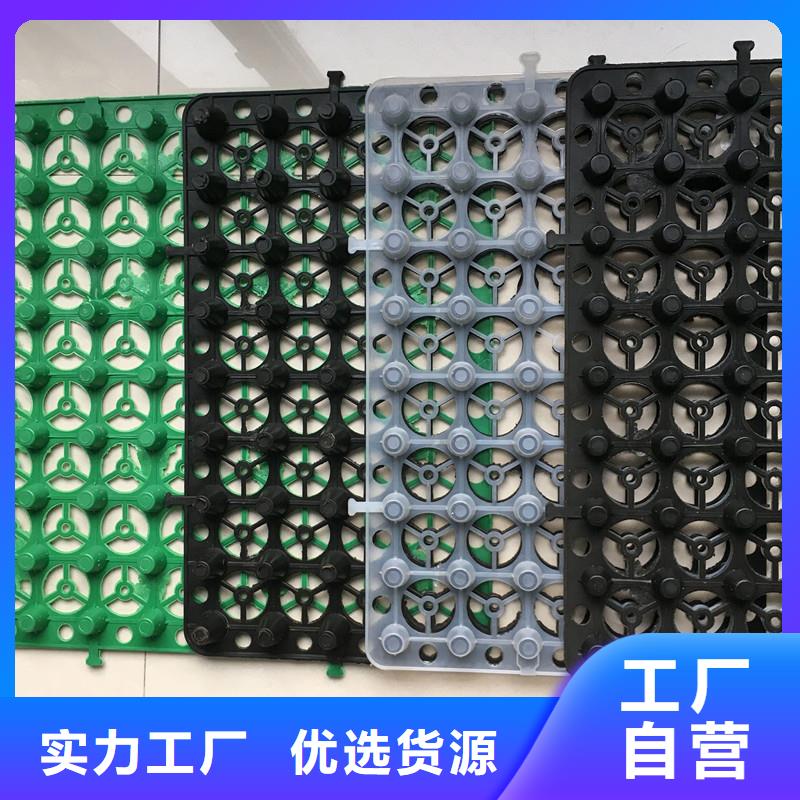 塑料排水板价格及厂家