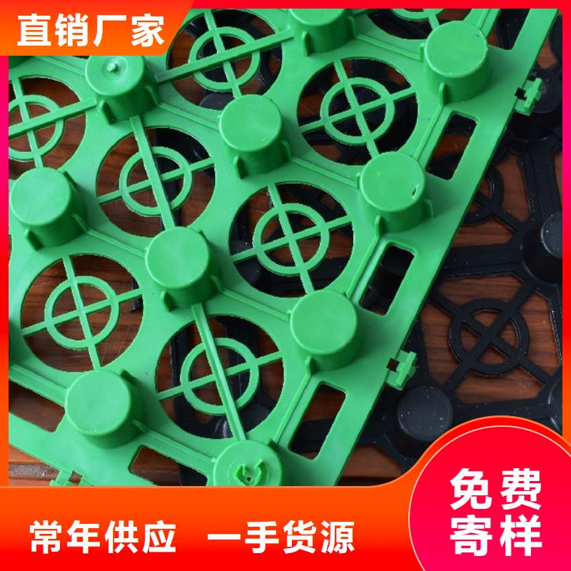 蓄排水板生产厂家朋联