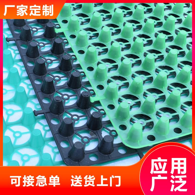 植草格视频- 植草格(朋联)覆盖地域山东省济南|菏泽|烟台|淄博