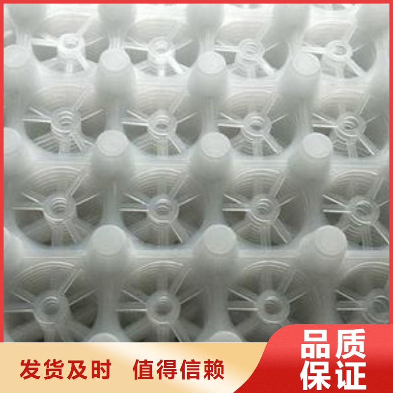 排水板工厂直营
