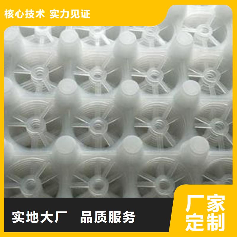 塑料排水板实业集团-欢迎咨询