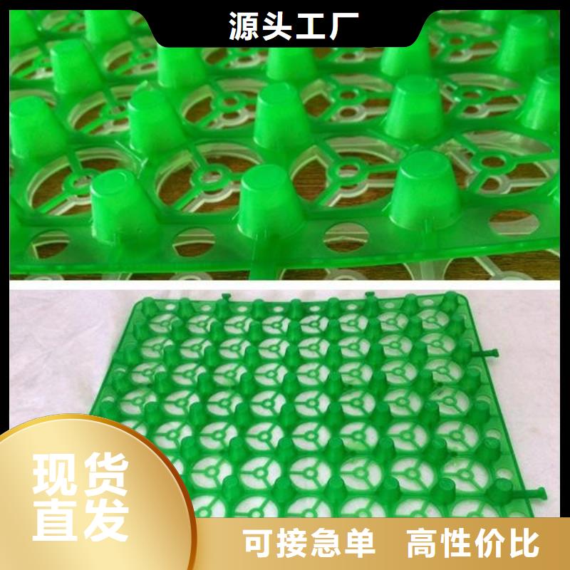 凹凸排水板厂家欢迎您