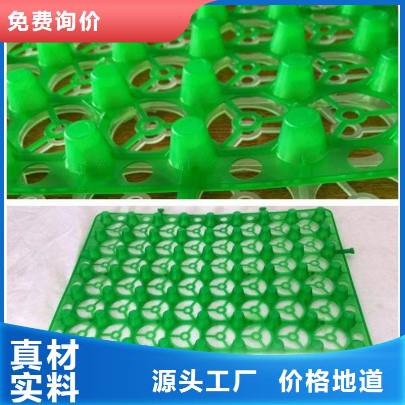 蓄排水板行情价@2025