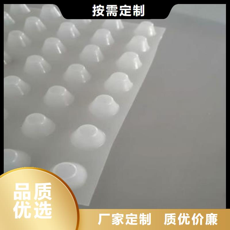 排水板2025新行情价