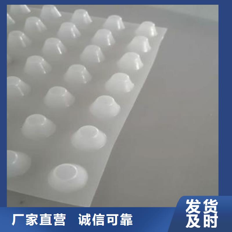 排水板水泥化粪池材质实在