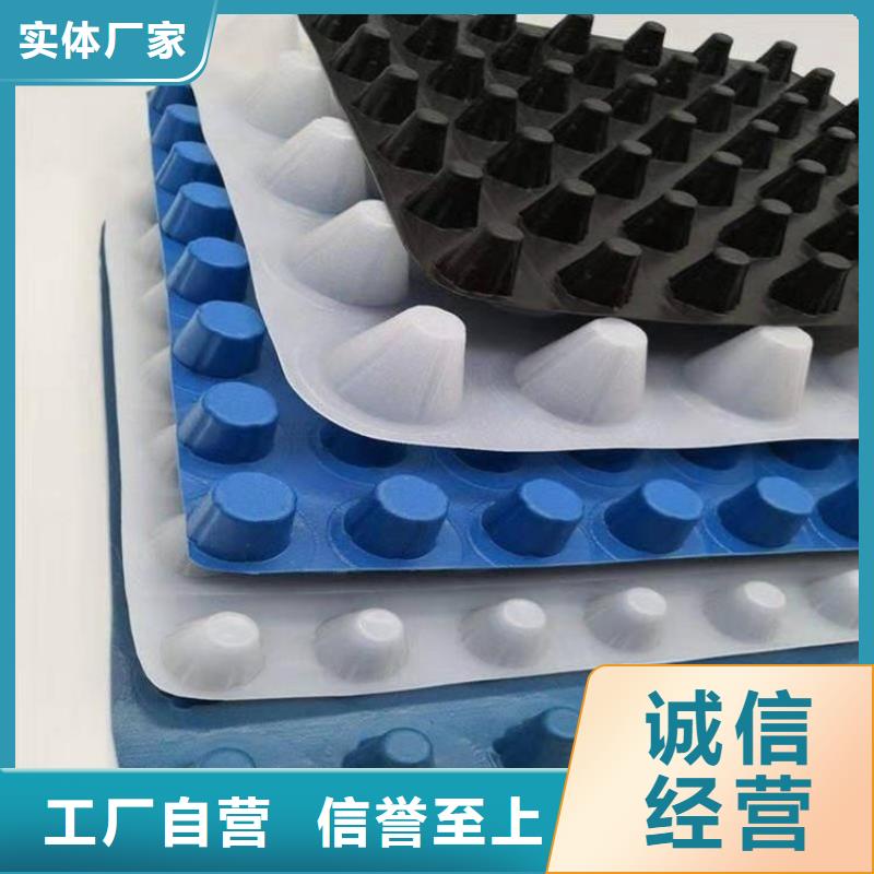 塑料排水板-朋联工程全国发售
