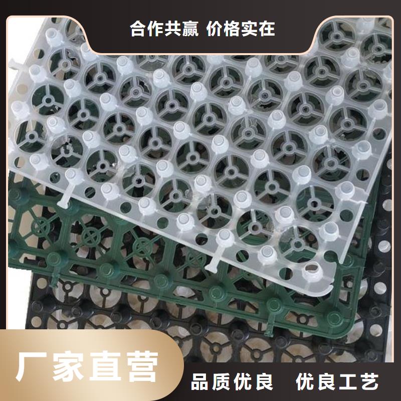 排水板2025新行情价