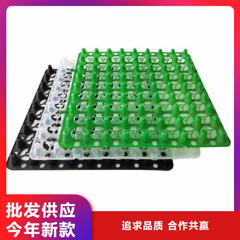 排水板水泥化粪池材质实在