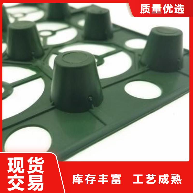 排水板行情价—已更新2025