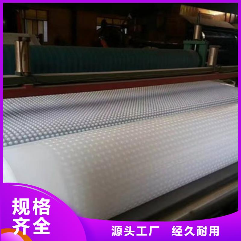 车库排水板厂家——欢迎咨询