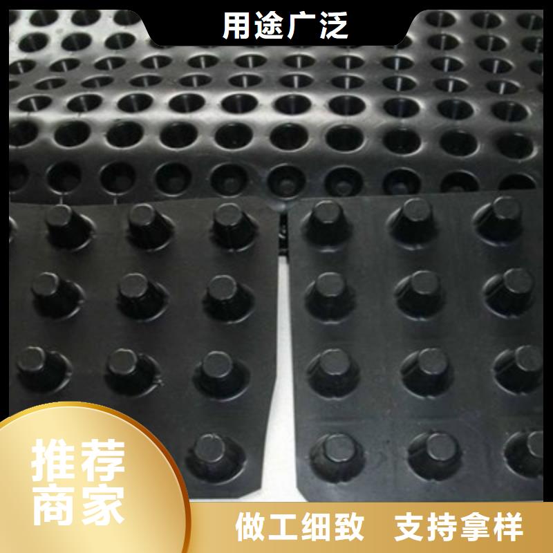 塑料排水板-朋联工程全国发售