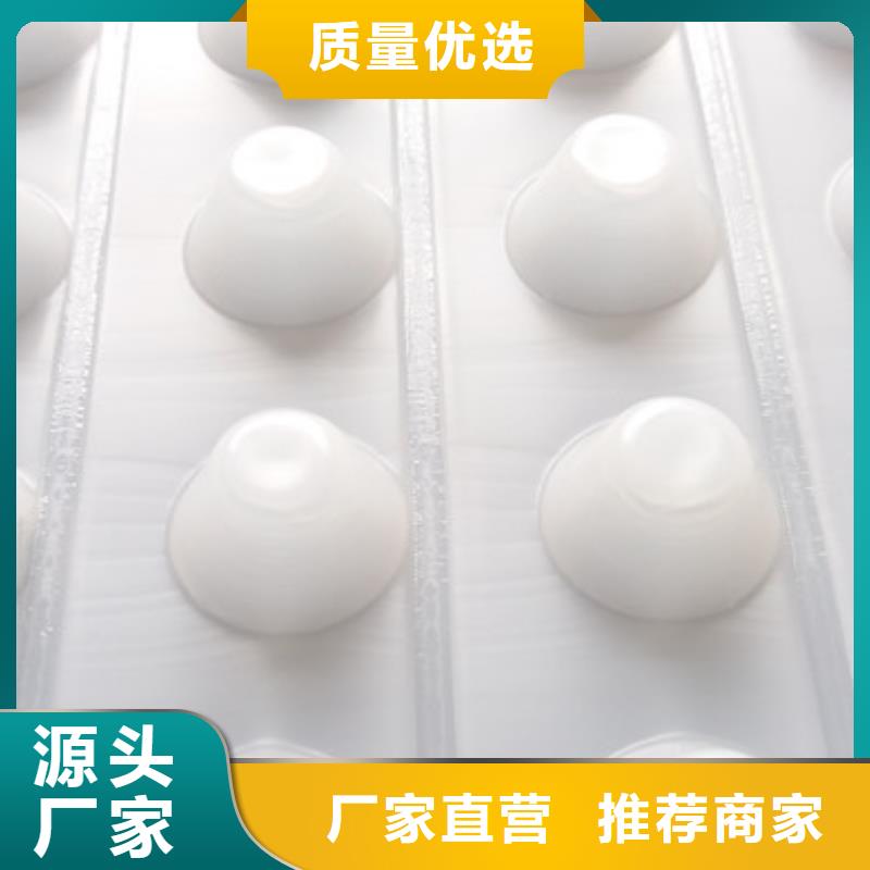 虹吸排水板-规格全