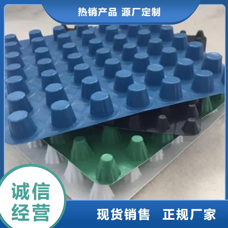 凹凸排水板厂家欢迎您