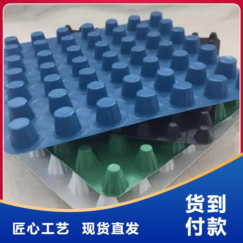 蓄排水板厂家直销中