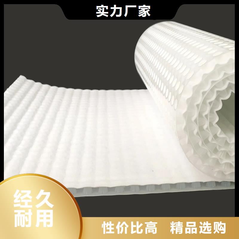 塑料排水板-朋联工程全国发售