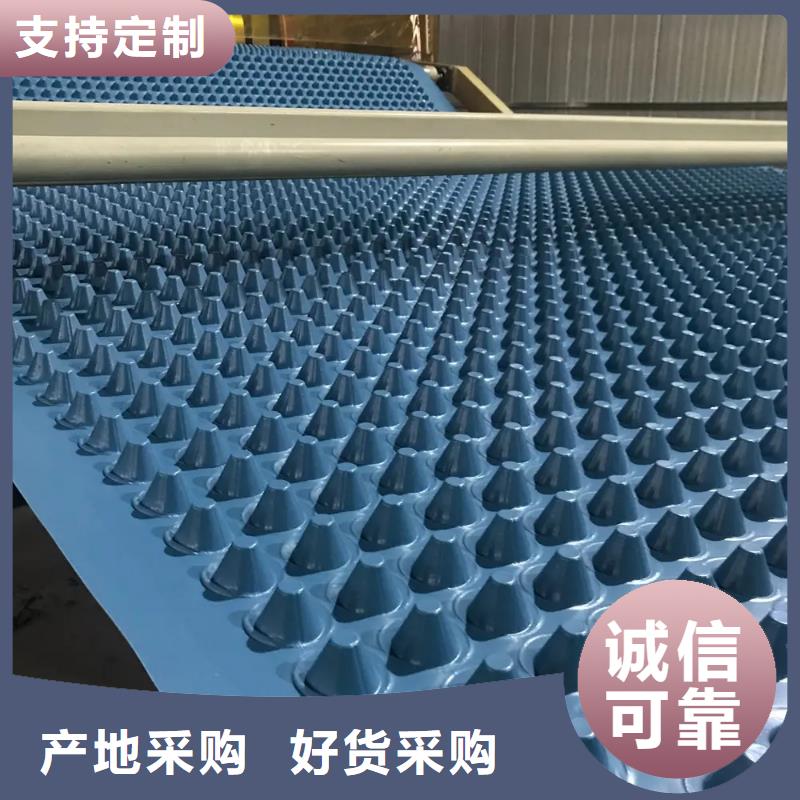排水板防护虹吸排水收集系统专业厂家
