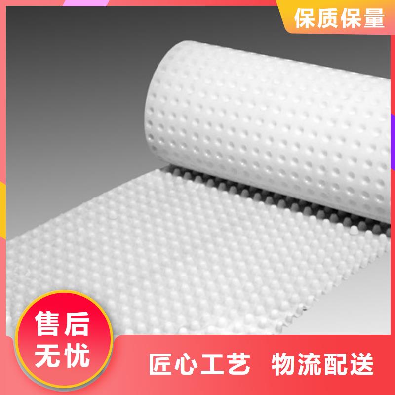 凹凸型排水板厂家——欢迎咨询