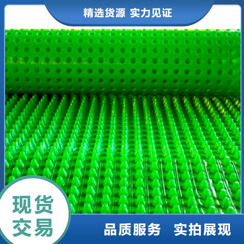 凹凸排水板厂家欢迎您