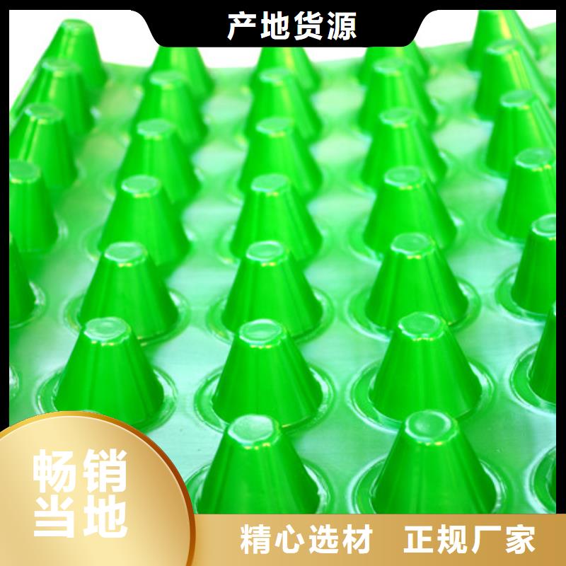 塑料排水板价格