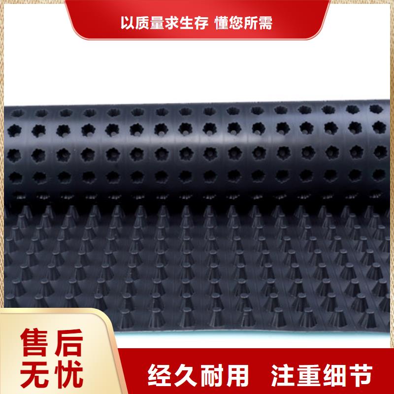 凹凸排水板厂家欢迎您
