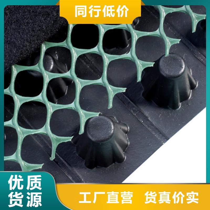 排水板批发价