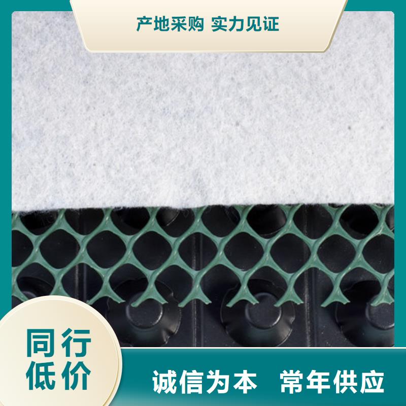 凹凸排水板厂家欢迎您