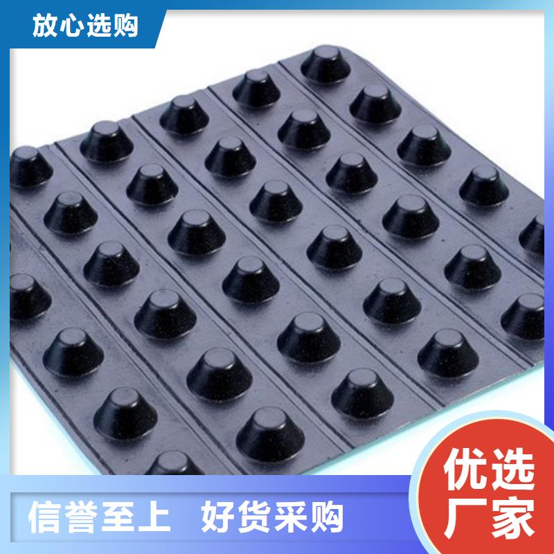 凹凸排水板厂家欢迎您