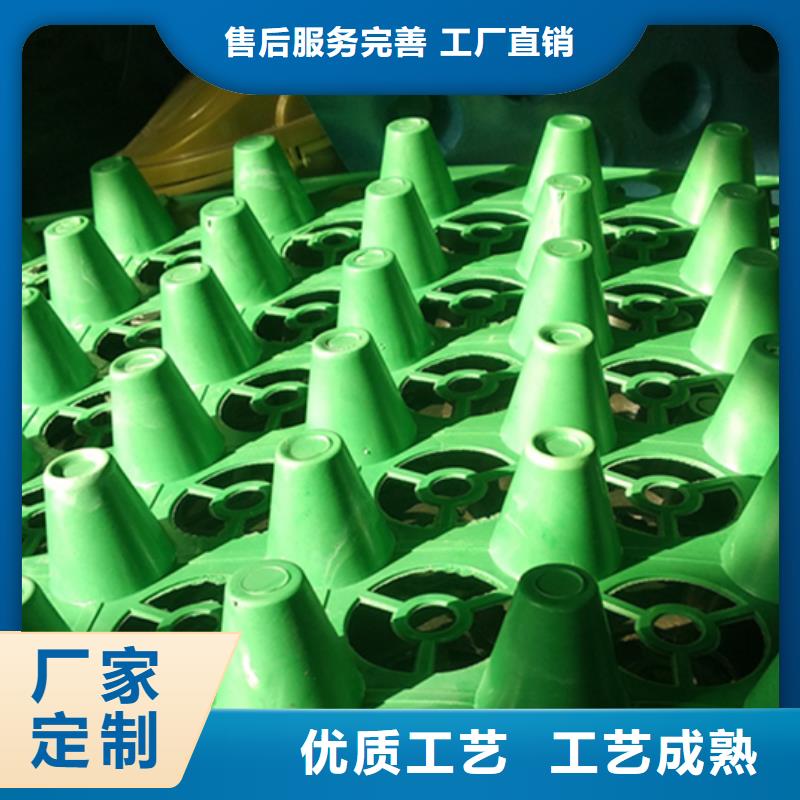 植草格-视频-钟山|昭平|百色|玉林|北海|南宁|防城港|贵港朋联 植草格_ 朋联工程材料(贺州市分公司)