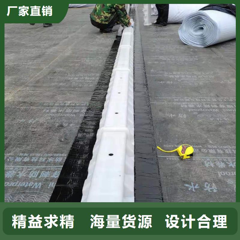 虹吸排水【植草格】同行低价