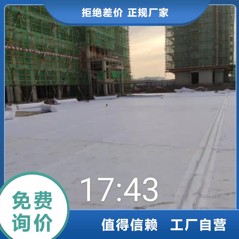 虹吸排水水泥化粪池厂家货源稳定