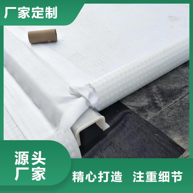 虹吸排水【植草格】同行低价