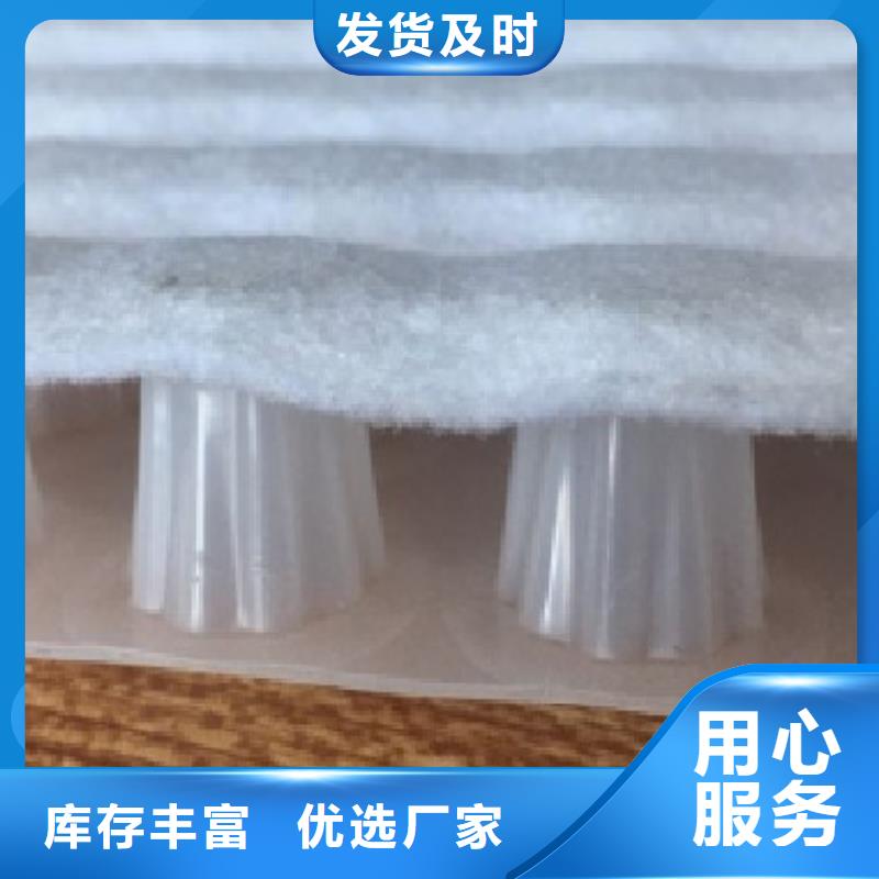 虹吸排水植草格品质好才是硬道理