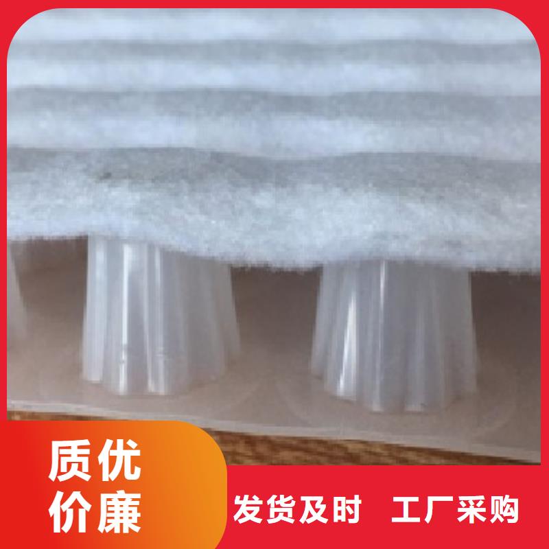虹吸排水水泥化粪池质量层层把关