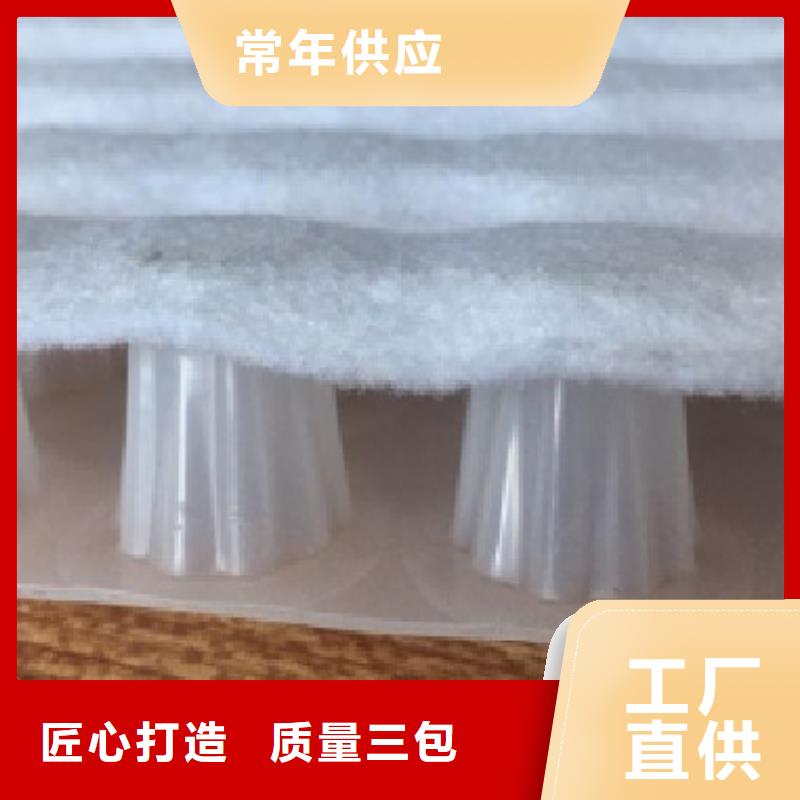 虹吸排水-水泥化粪池打造好品质