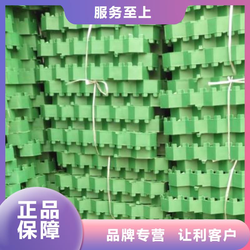 植草格打造行业品质