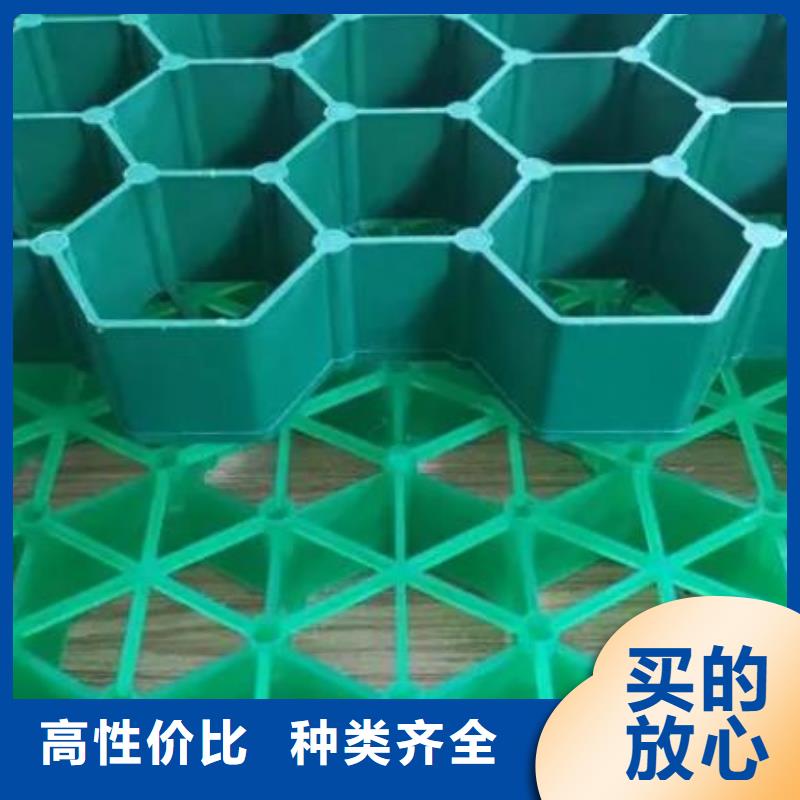 植草格排水板实力商家