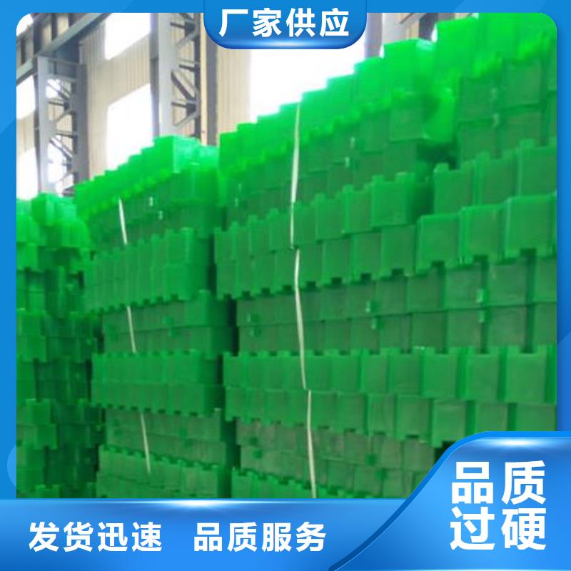 植草格视频- 植草格|阳江市|阳东|阳西|肇庆|深圳|佛山|梅州|珠海
