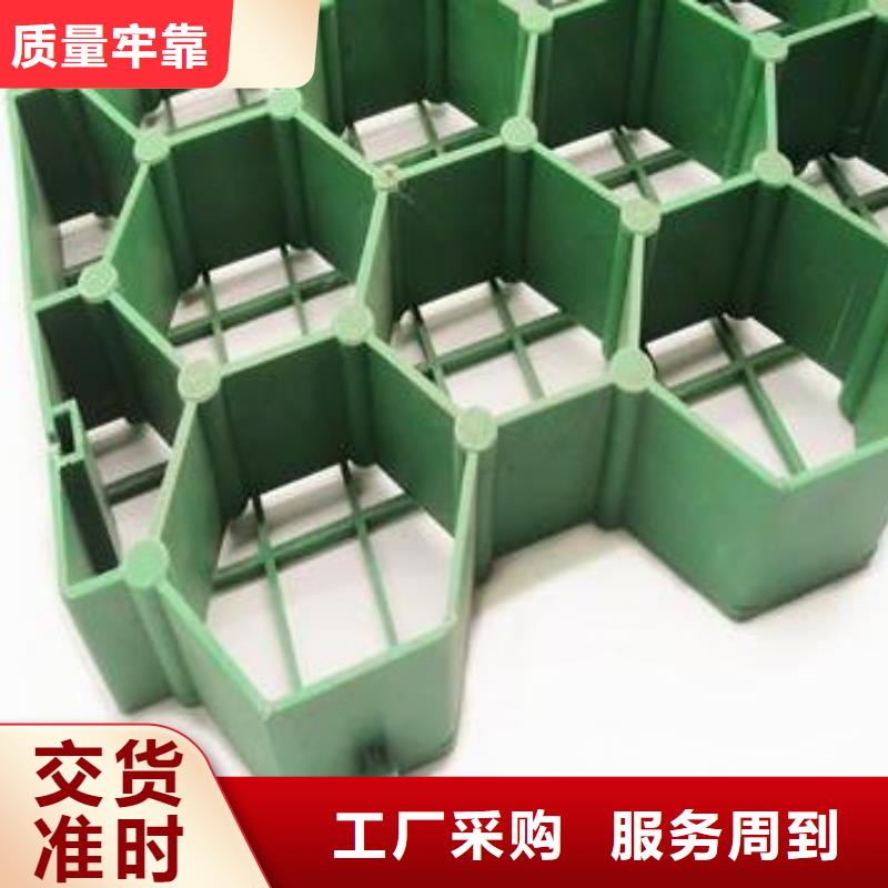 塑料植草格行情价—已更新2025