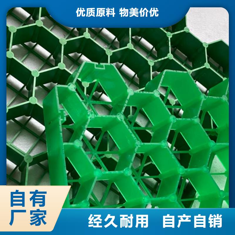 植草格,排水板实力大厂家