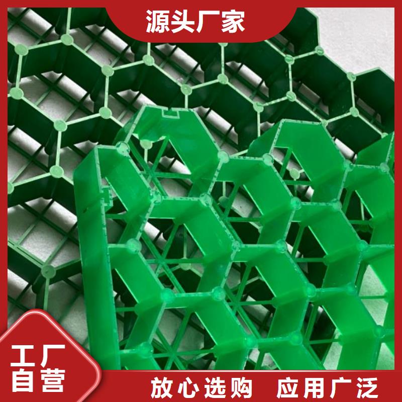 植草格视频-庆元|缙云|宁波|舟山|台州|温州|金华 植草格质量为本-朋联工程材料(丽水市分公司)