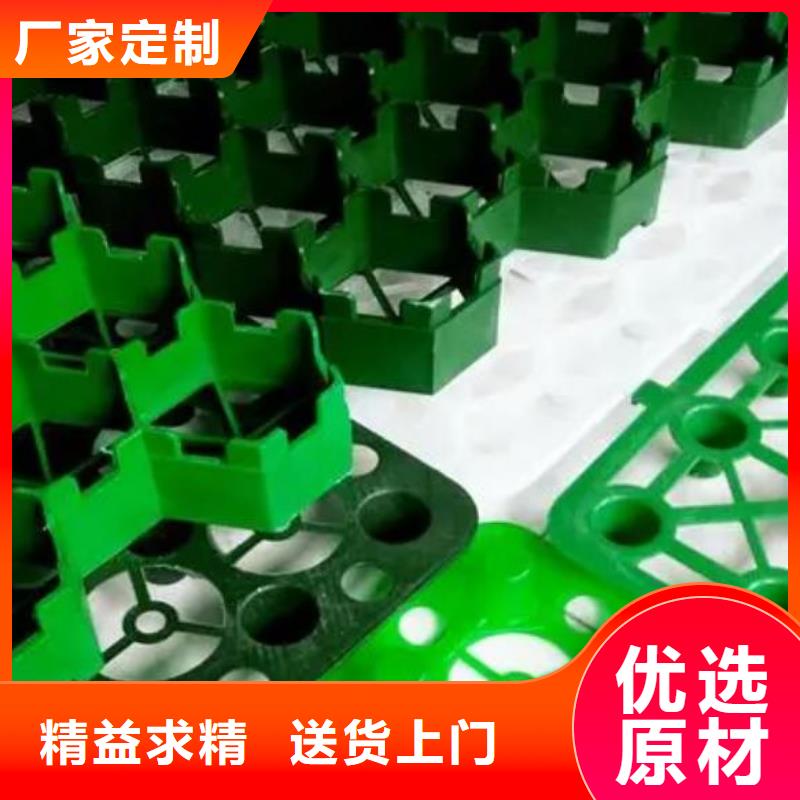 植草格排水板实力商家