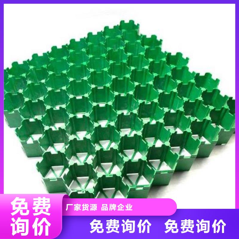 植草格,排水板实力大厂家
