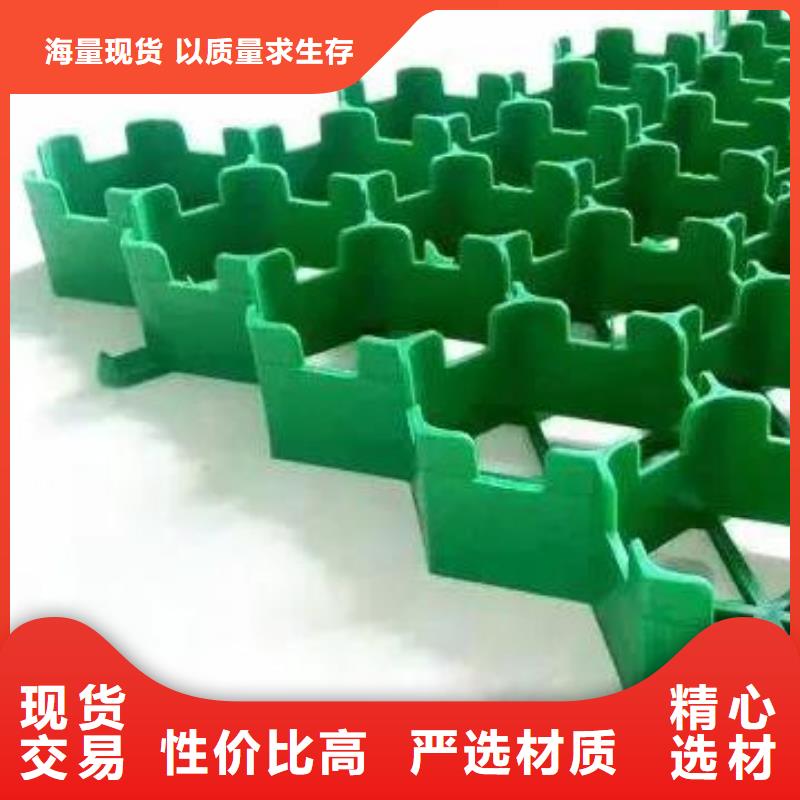 植草格植草格保障产品质量