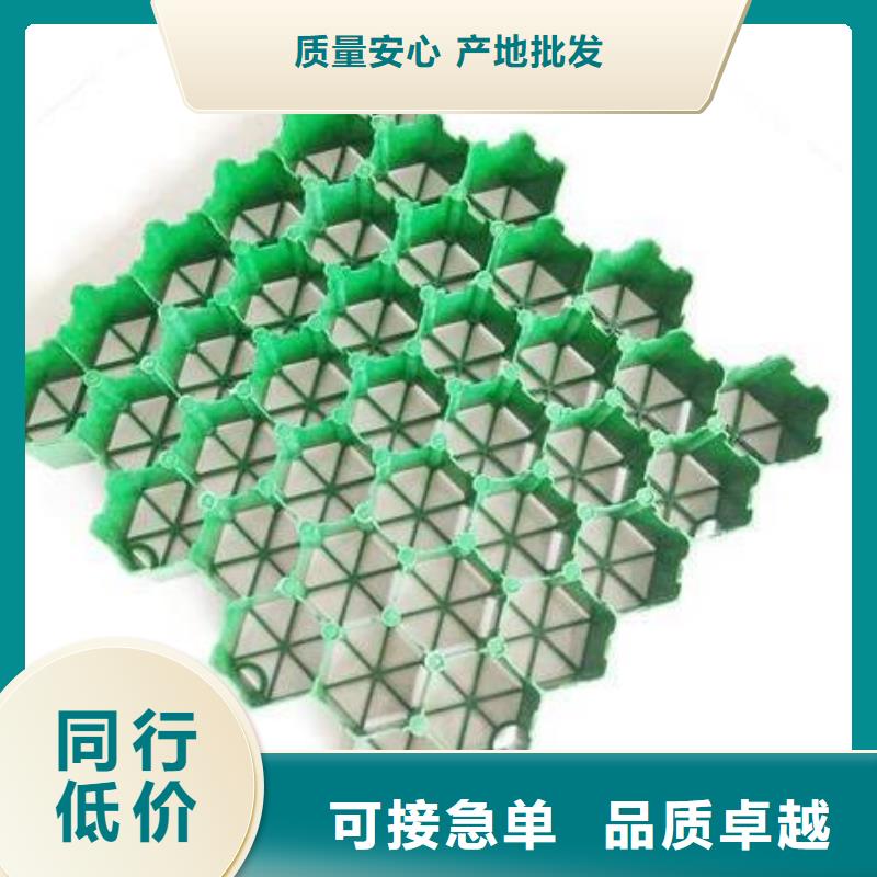 【植草格】防护虹吸排水收集系统您身边的厂家