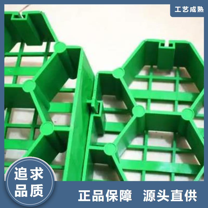 植草格视频- 植草格|阳江市|阳东|阳西|肇庆|深圳|佛山|梅州|珠海