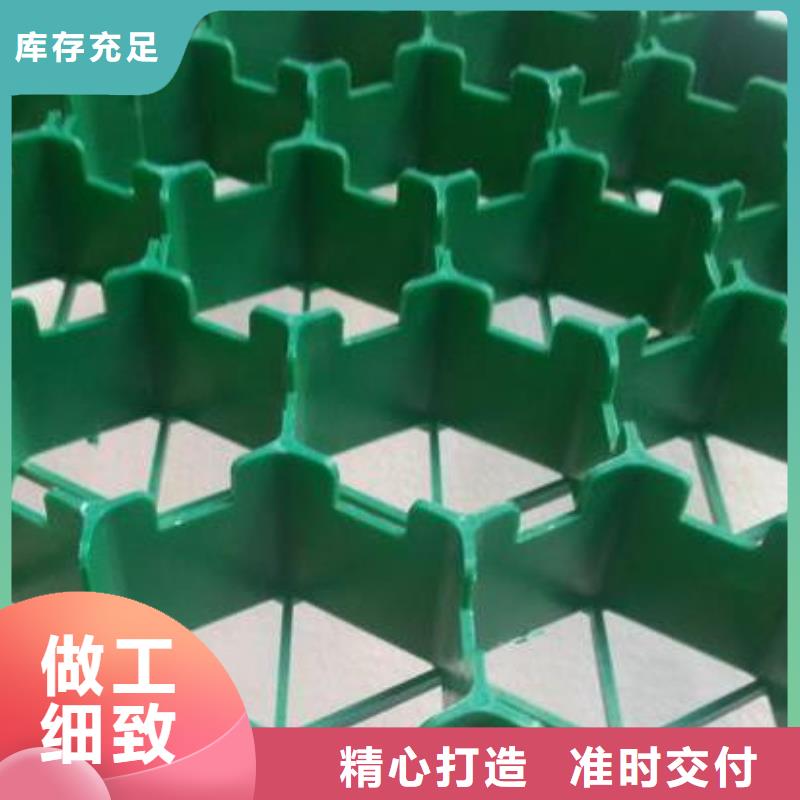 植草格视频- 植草格|阳江市|阳东|阳西|肇庆|深圳|佛山|梅州|珠海