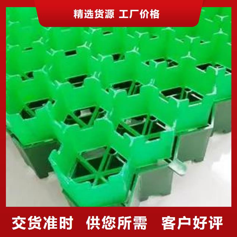 植草格水泥化粪池厂家直销供货稳定
